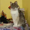 Отзыв от Ксения Корчагина